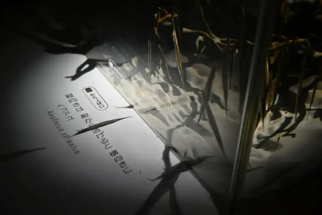 万博記念公園 ニフレル 5