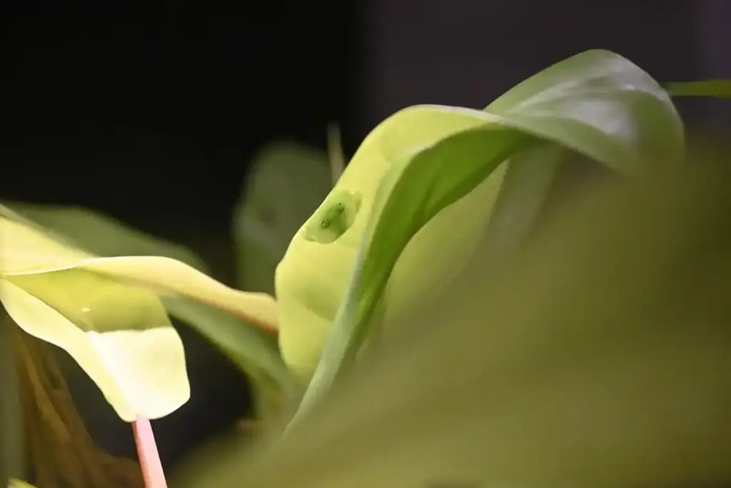 万博記念公園 ニフレル 8