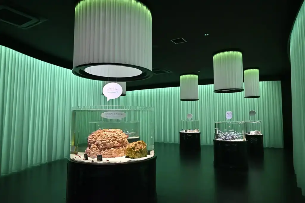 万博記念公園 ニフレル 2