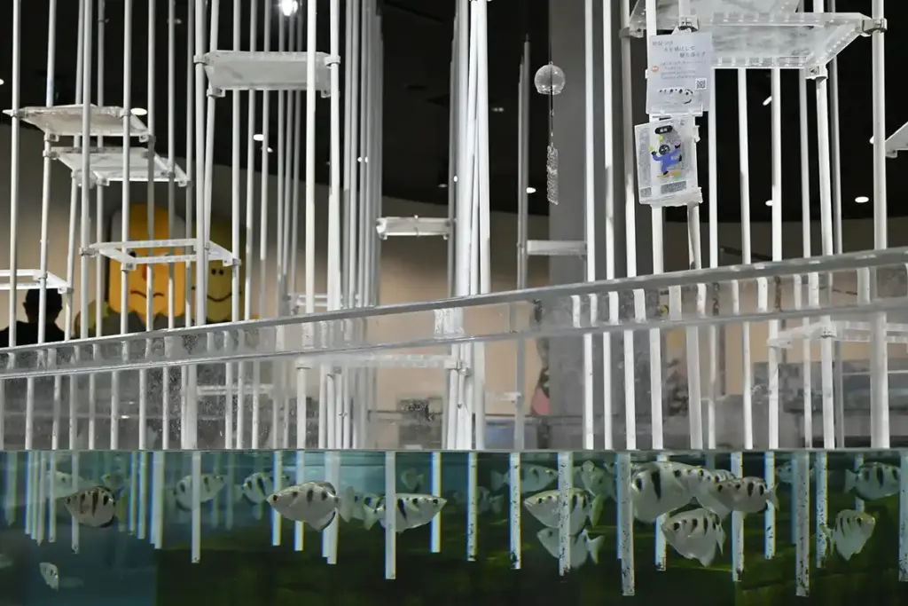 万博記念公園 ニフレル 4