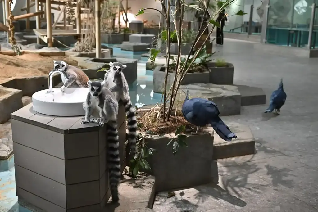 万博記念公園 ニフレル 9