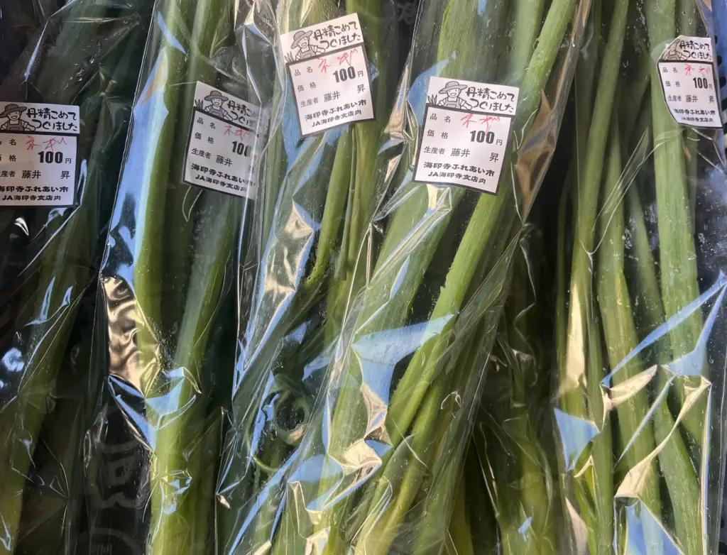 奥海印寺　ふれあい市　九条ネギ