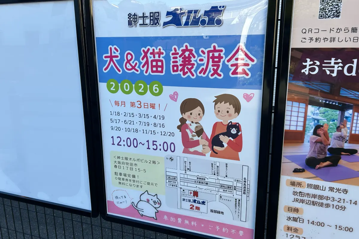 吹田市・新御堂筋沿いの「紳士服オルボ」で「犬＆猫 譲渡会」を実施