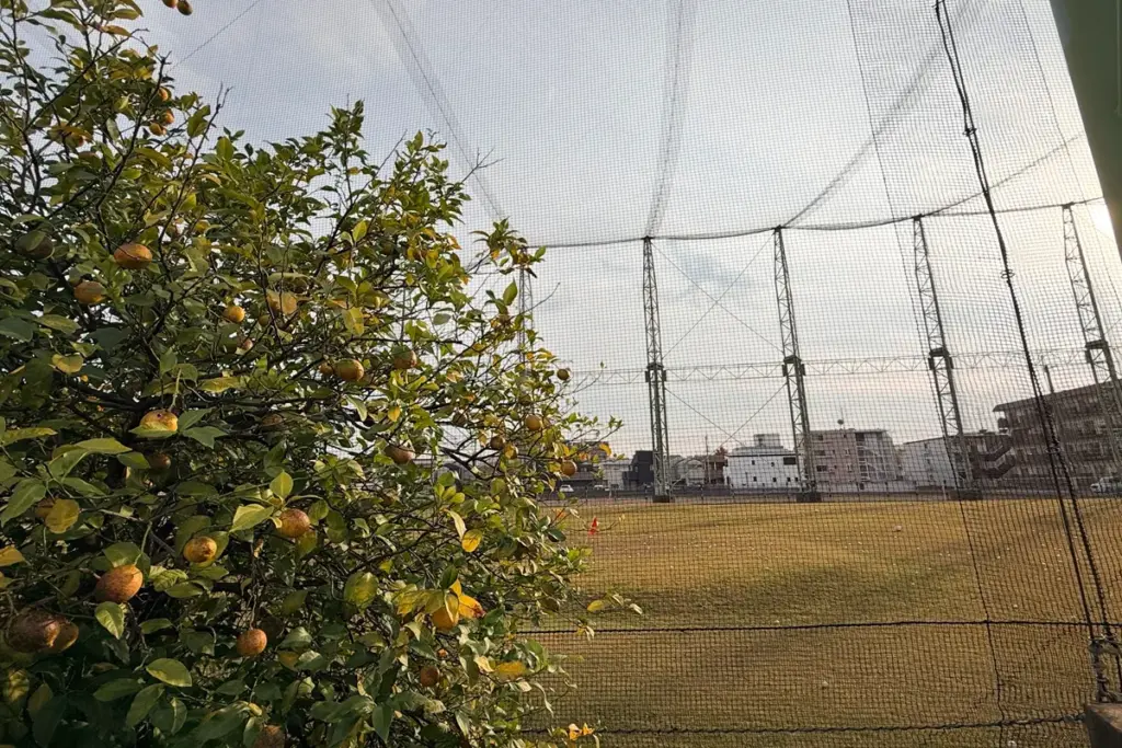 スーパーオオジの向かいにあるバッティングセンター