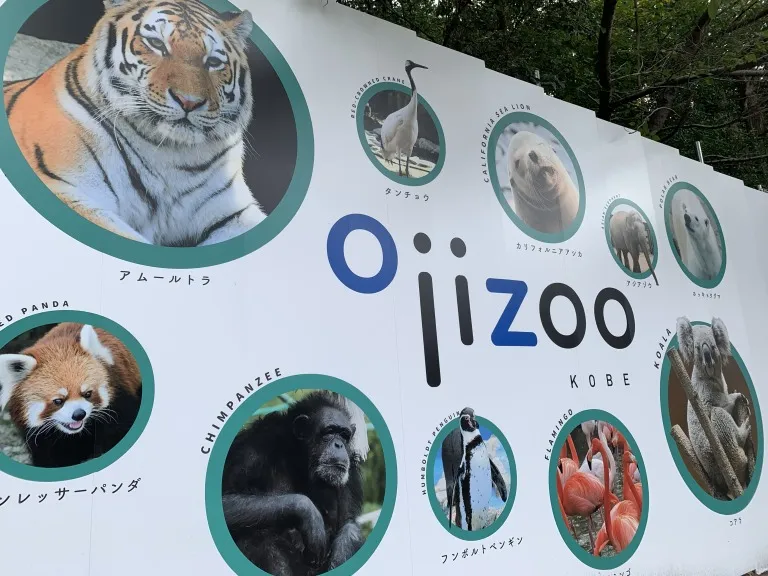 王子動物園サバンナゾーン 囲い①