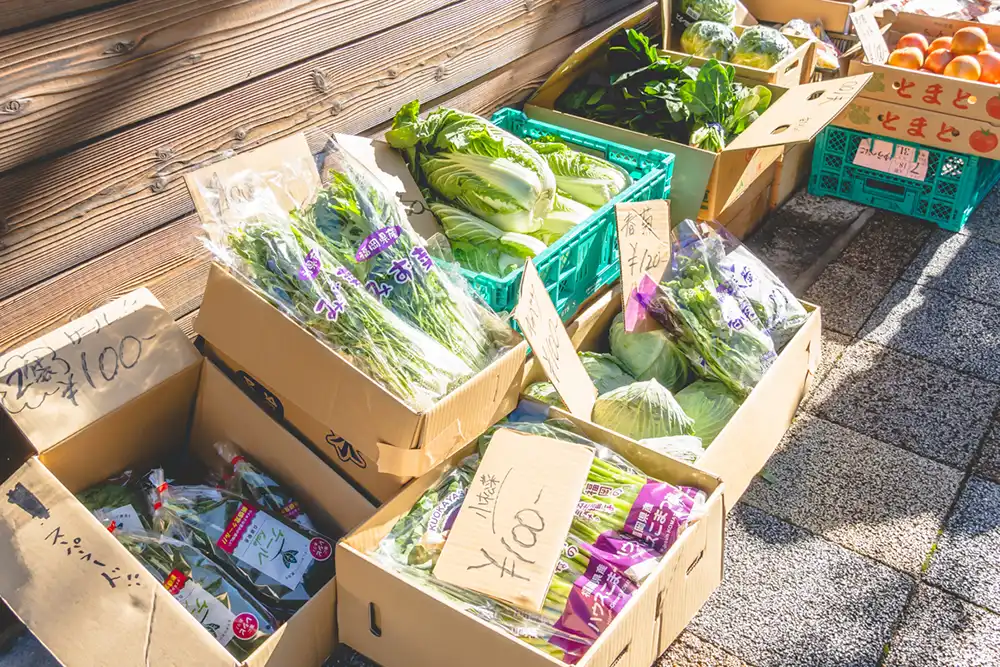 vege&fruit 梟　ミニポン太野菜02