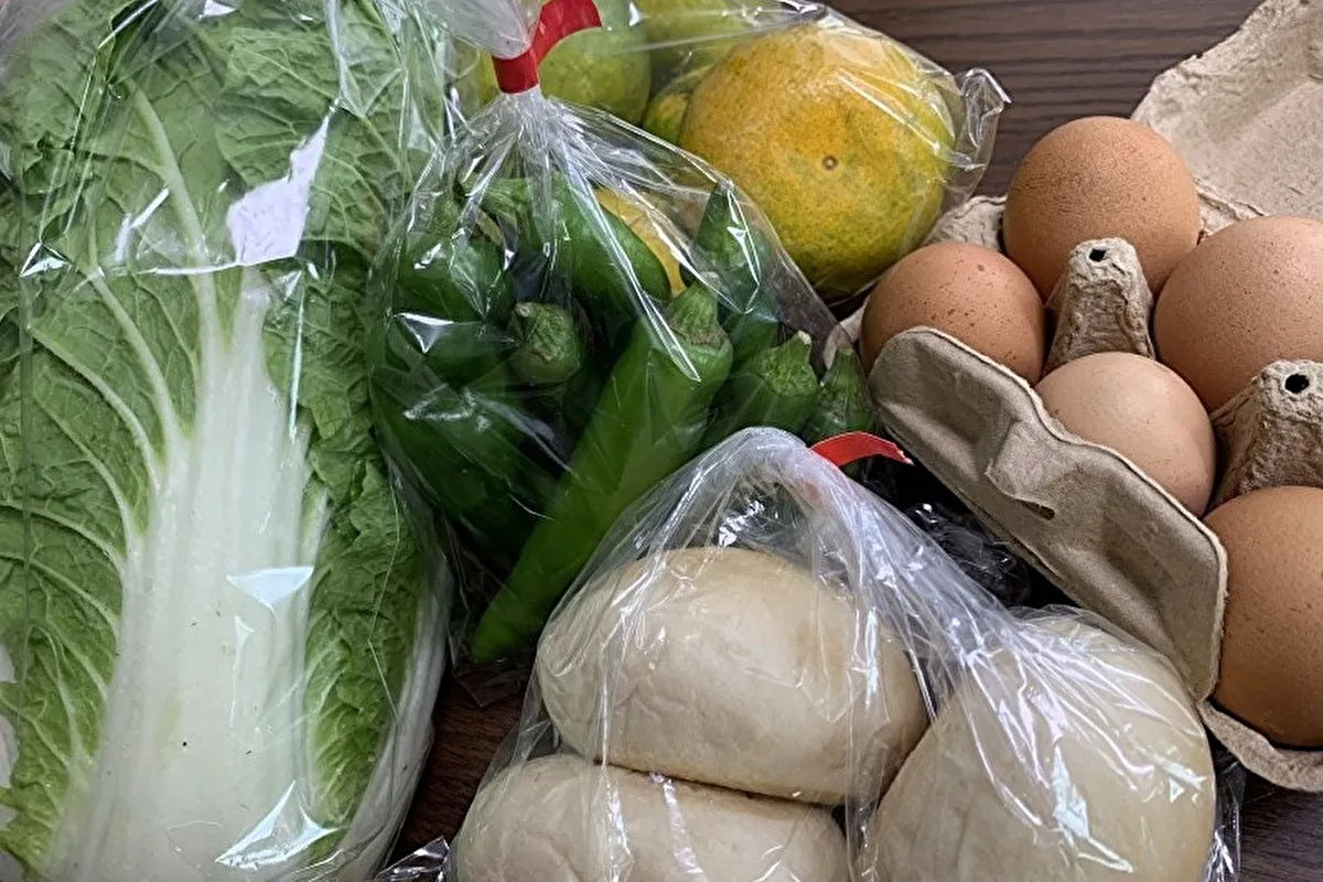 灘区八幡町「ろっこうおーがにっく市」で新鮮野菜や果物と出会う