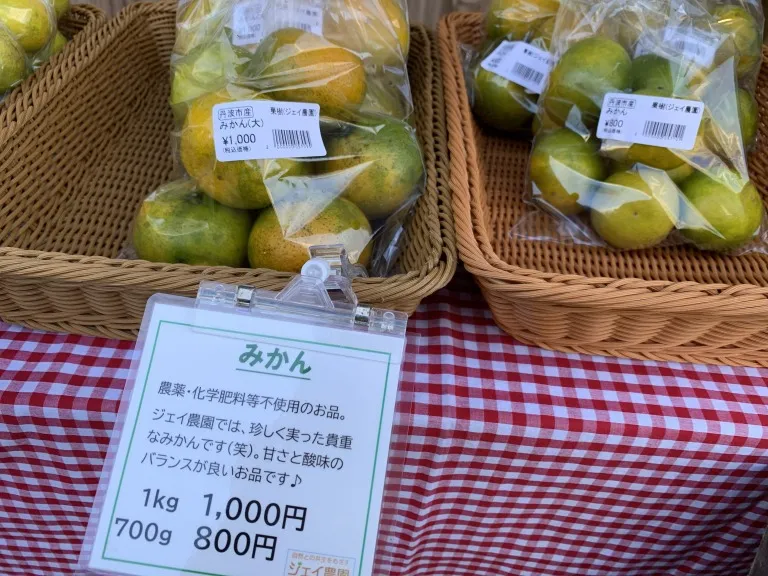 ろっこうおーがにっく市　みかん