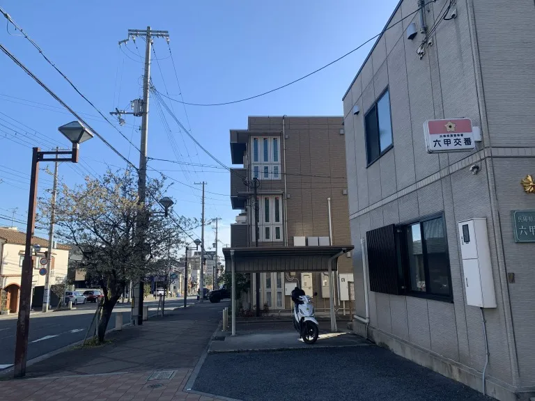 六甲交番　隣の桜