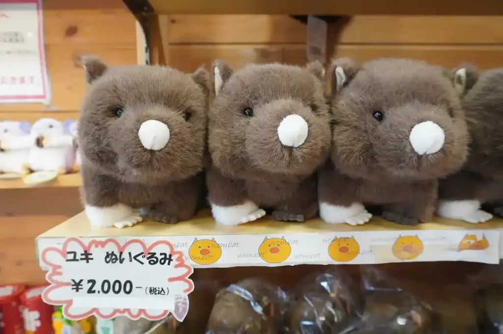 五月山動物園　ウォンバット2