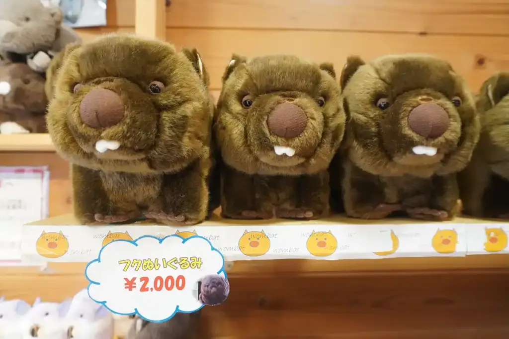 五月山動物園　ウォンバット3