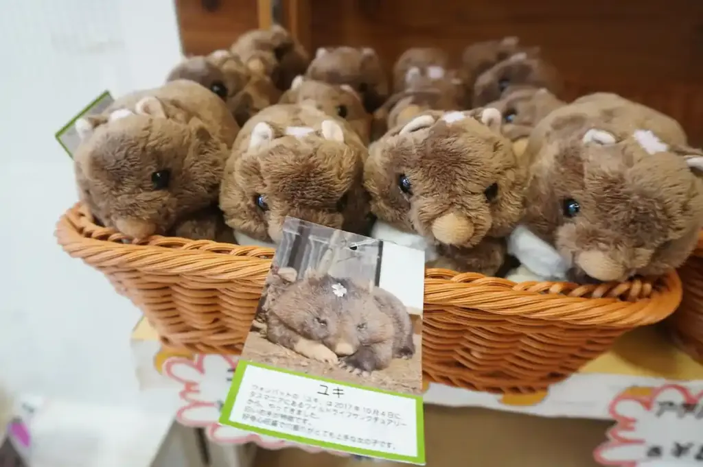 五月山動物園　ウォンバット4