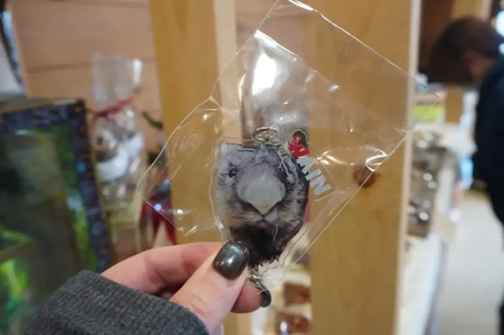 五月山動物園　ウォンバット7