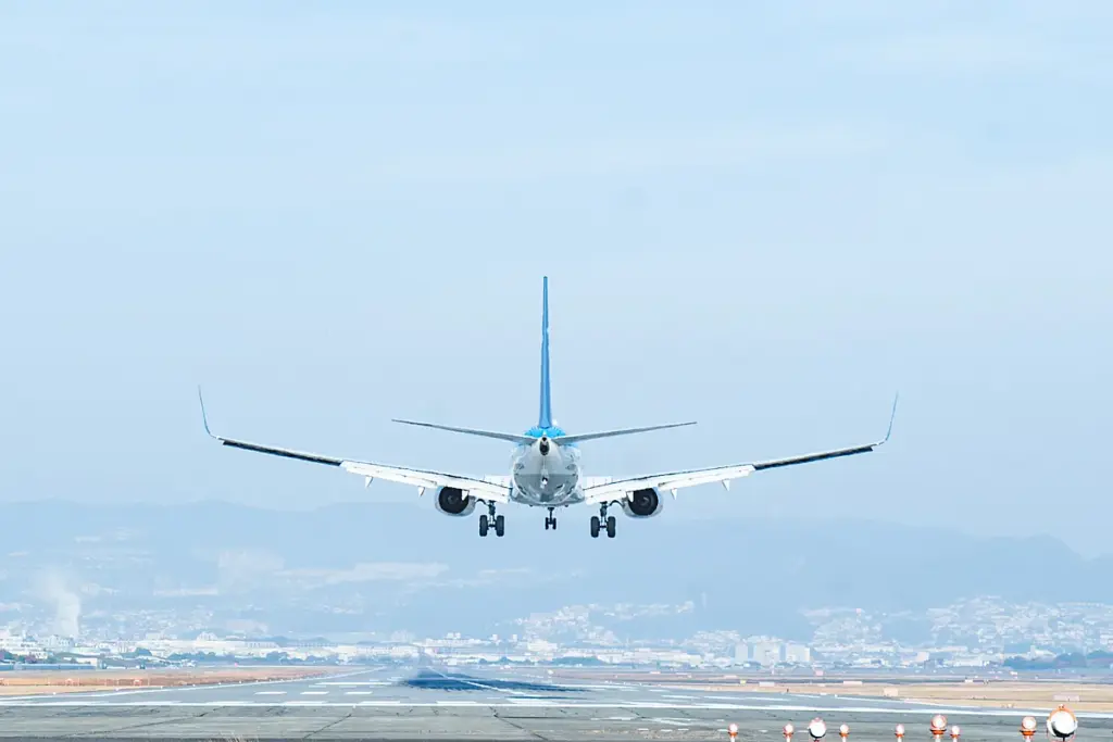千里川土手 着陸飛行機後ろから