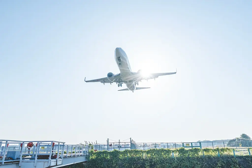 千里川土手 着陸飛行機01