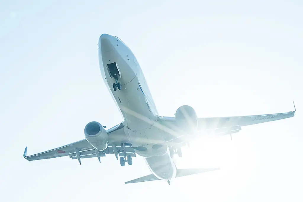 千里川土手 着陸飛行機02