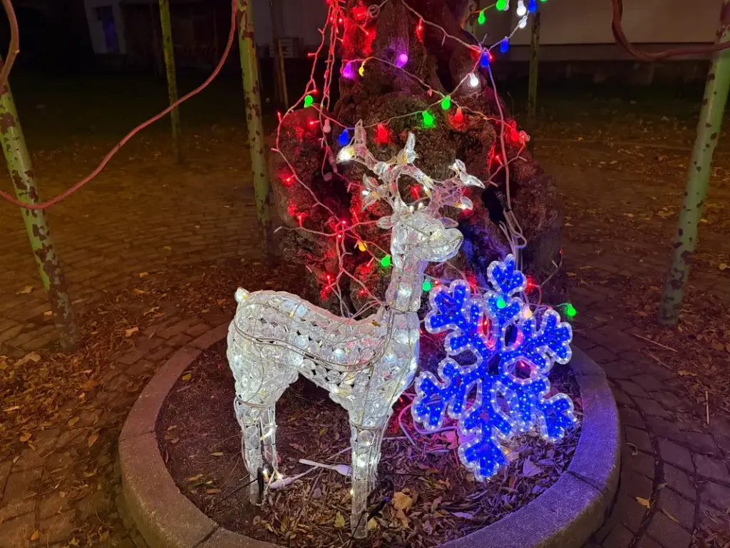 シモナリエ下新庄公園トナカイアップ