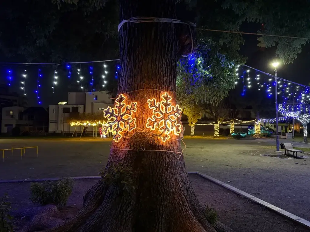 シモナリエ下新庄公園雪の結晶