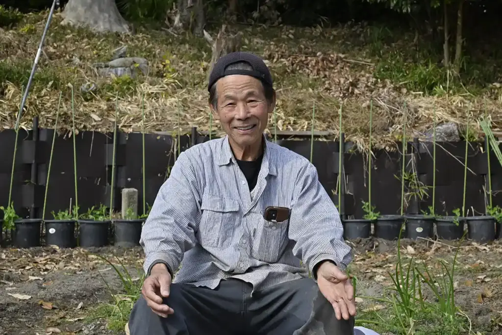 吹田くわい 平野さん