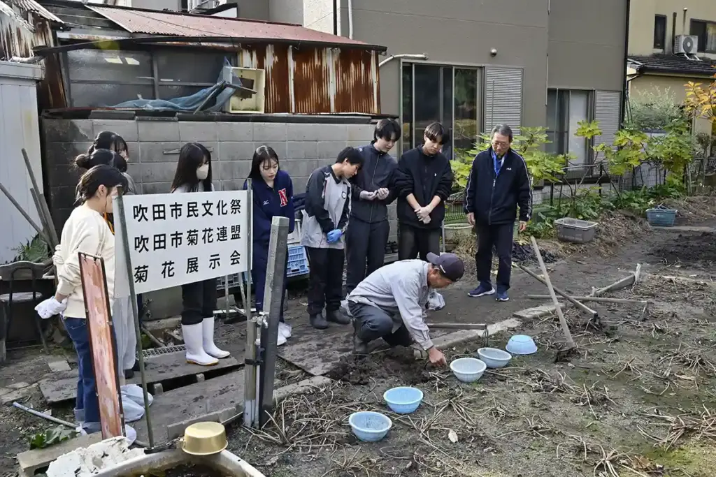 吹田くわい収穫体験2