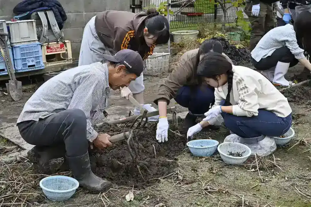 吹田くわい 吹田検定