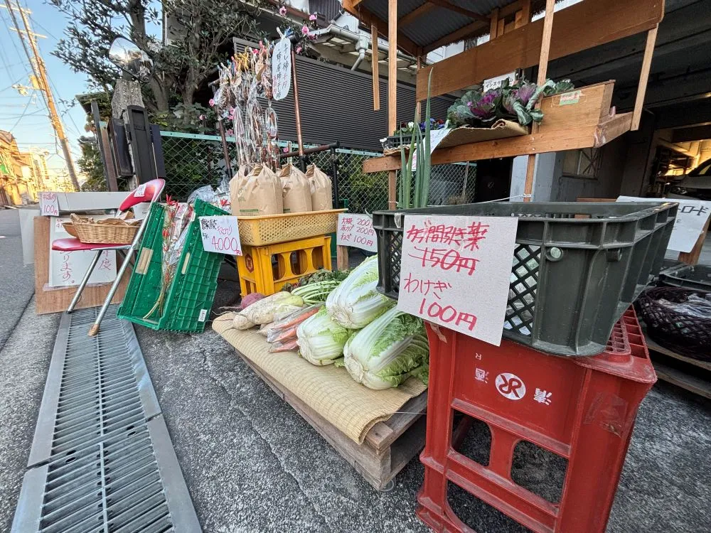 箕面桜井｜毎週土曜10時～14時｜泥付きの葉つき大根や葉物野菜、新米、みずみずしい新鮮な農作物が並ぶ｜農家さんの朝市やってます