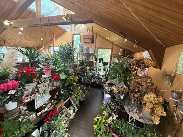 お庭づくりの相談もできるガーデンショップ　向日市・マサミガーデン