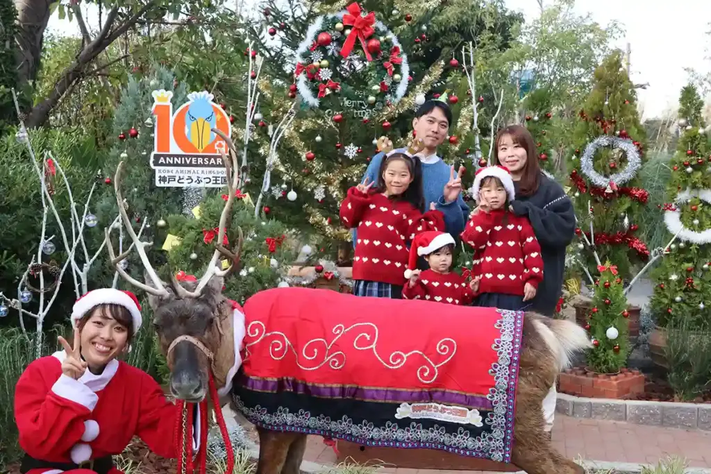 神戸どうぶつ王国にトナカイ