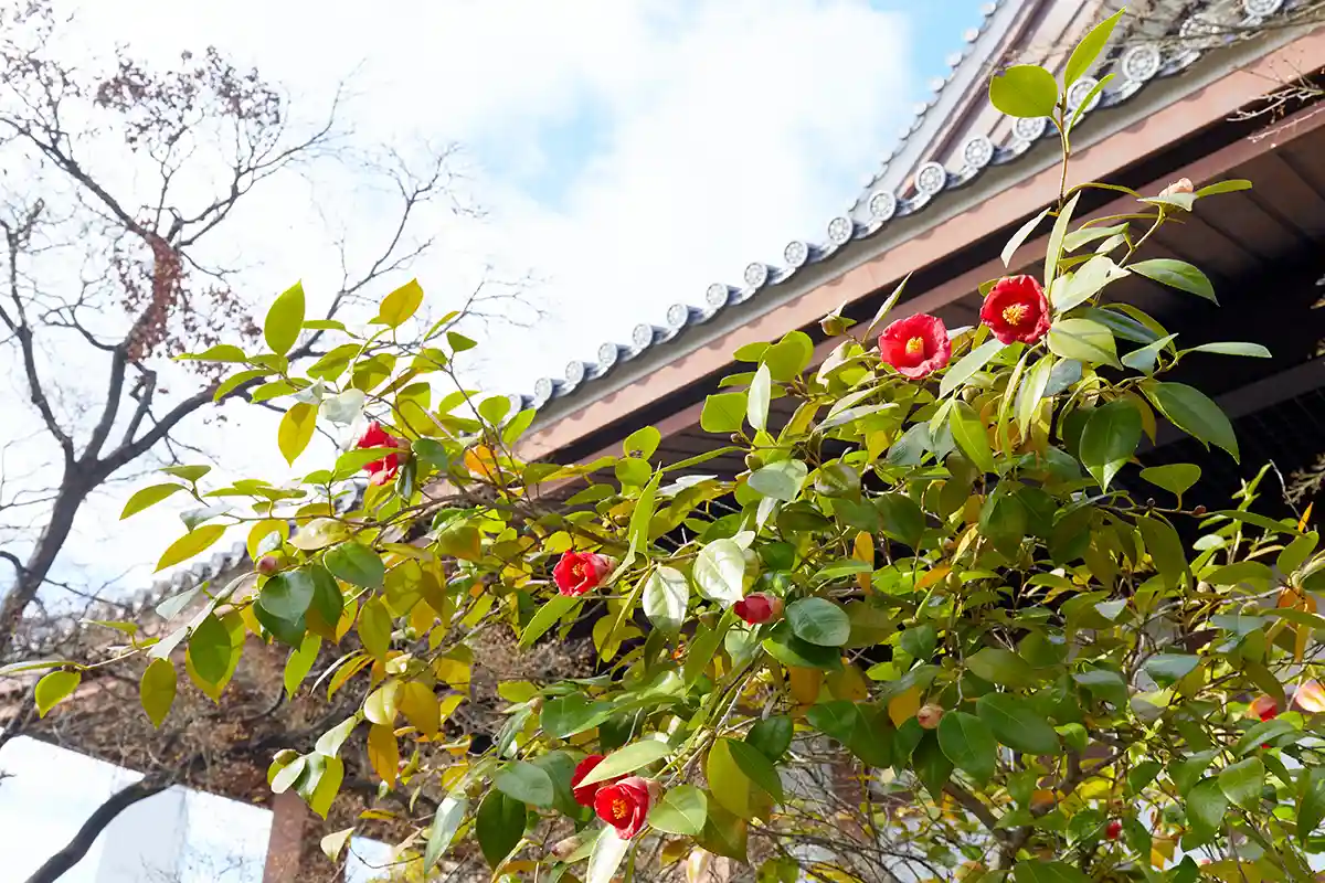 十三・淡路・上新庄TOKK検定にチャレンジしよう！ あなたは何問正解できるかな？ 【第3回】