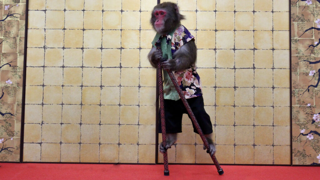 安満遺跡公園、猿回し、竹馬