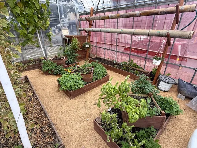 地球にやさしい暮らしを体験しよう　向日市「地域循環ラボ corecara」で1月18日イベント開催！