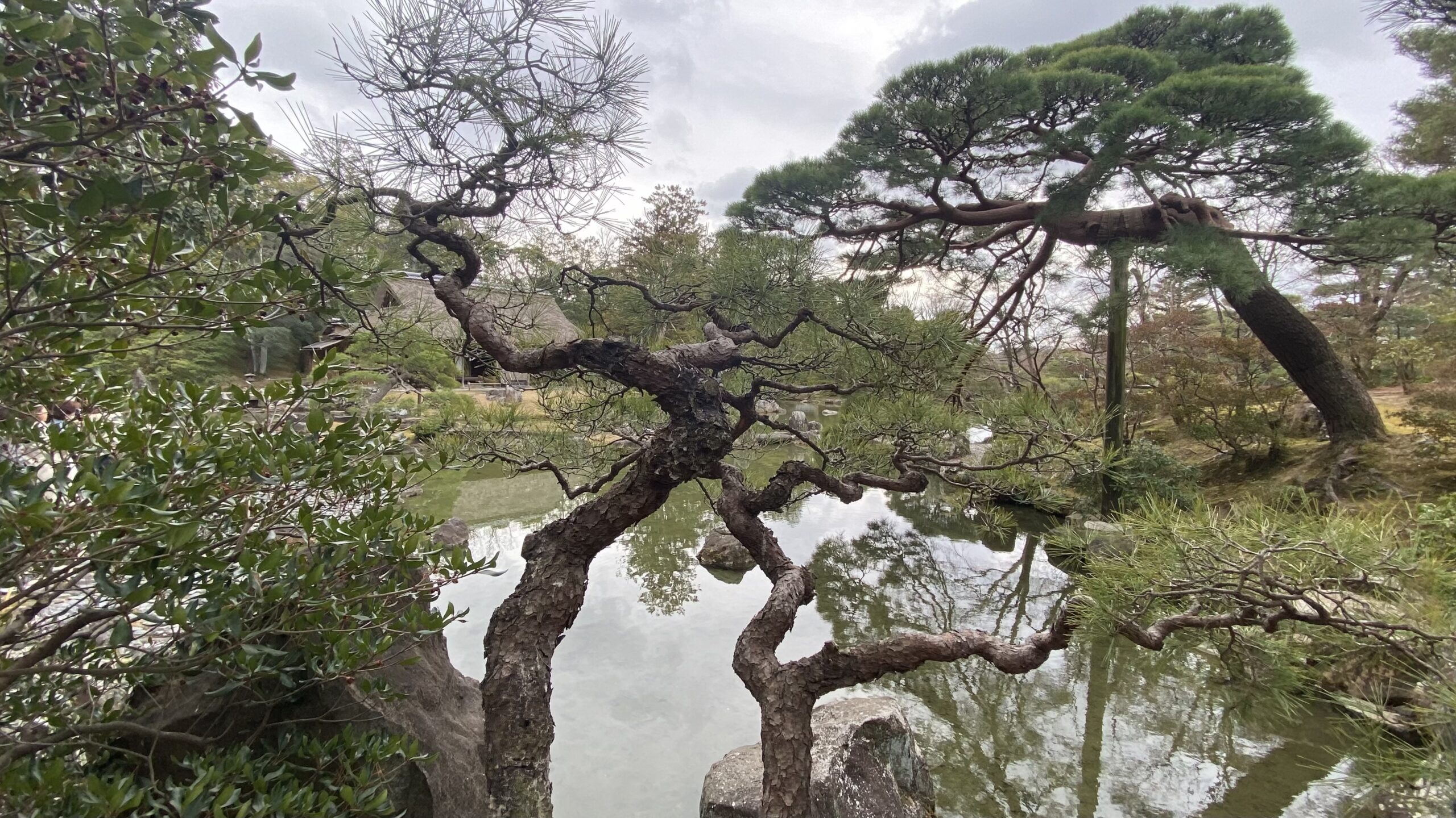 桂離宮の美しい庭園と歴史に触れる-京都の静寂な隠れ家