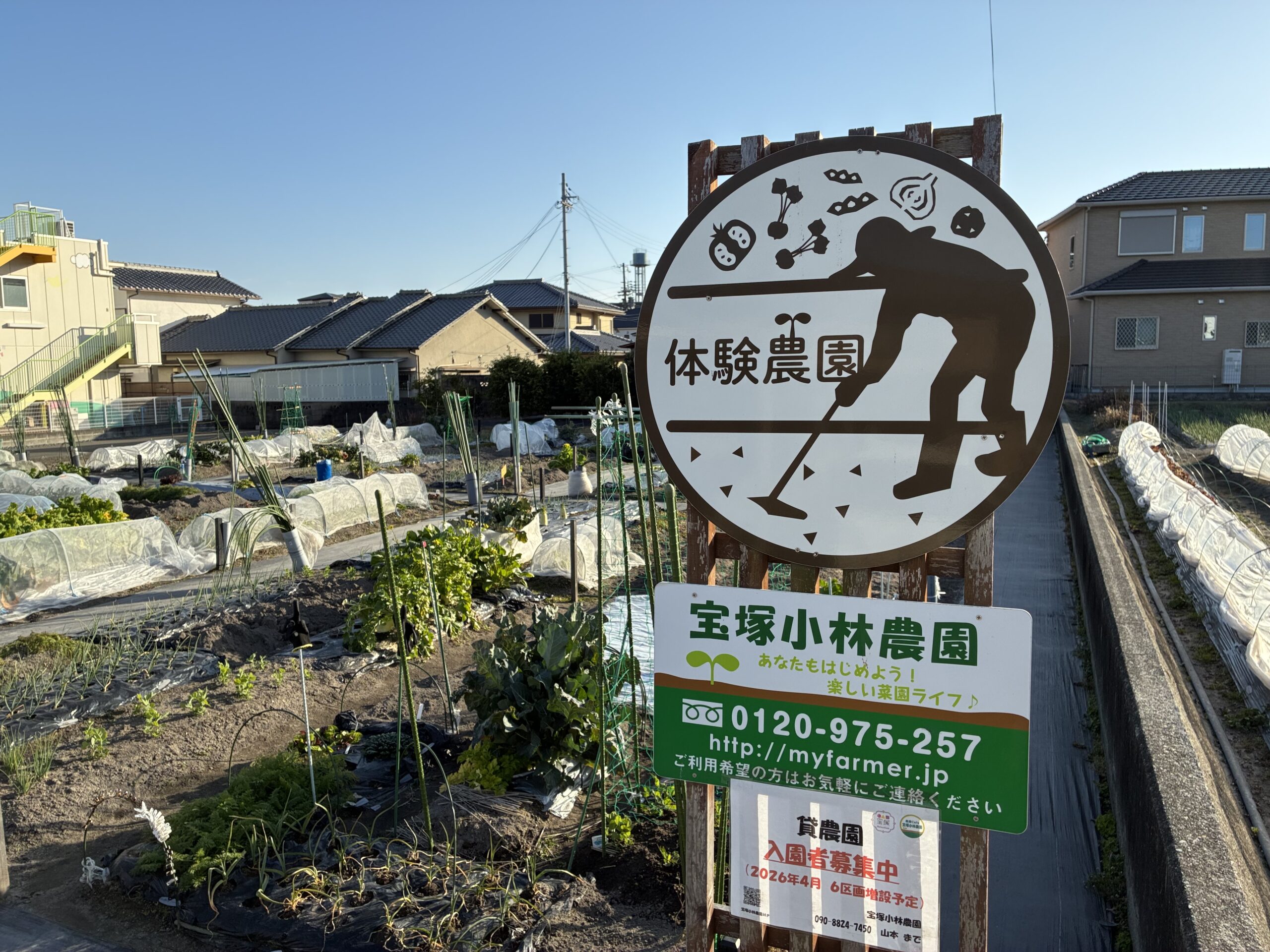 初心者もOK。街中で有機栽培で野菜づくり体験！宝塚小林農園の貸農園新規申し込み、残りわずかです。