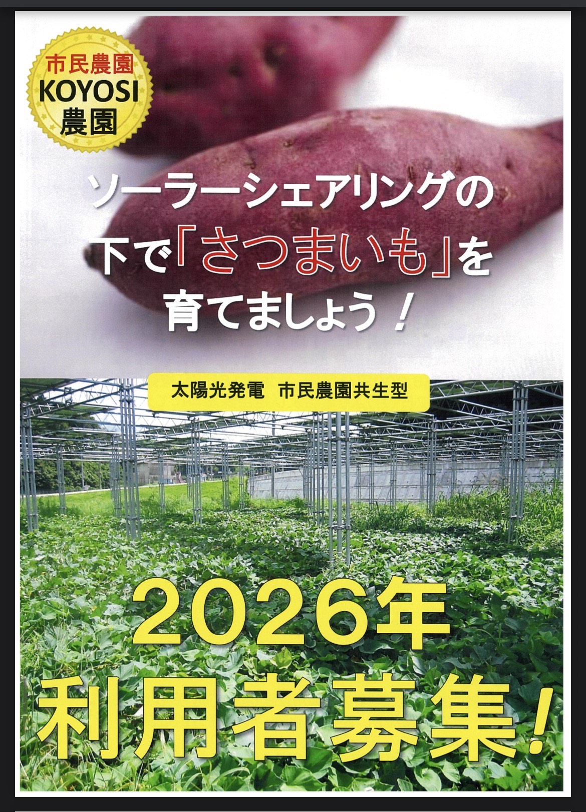 全国で初めてソーラーシェアリングを開設した宝塚・大原野。KOYOSI農園でサツマイモ作りを。2/2より申込スタート。