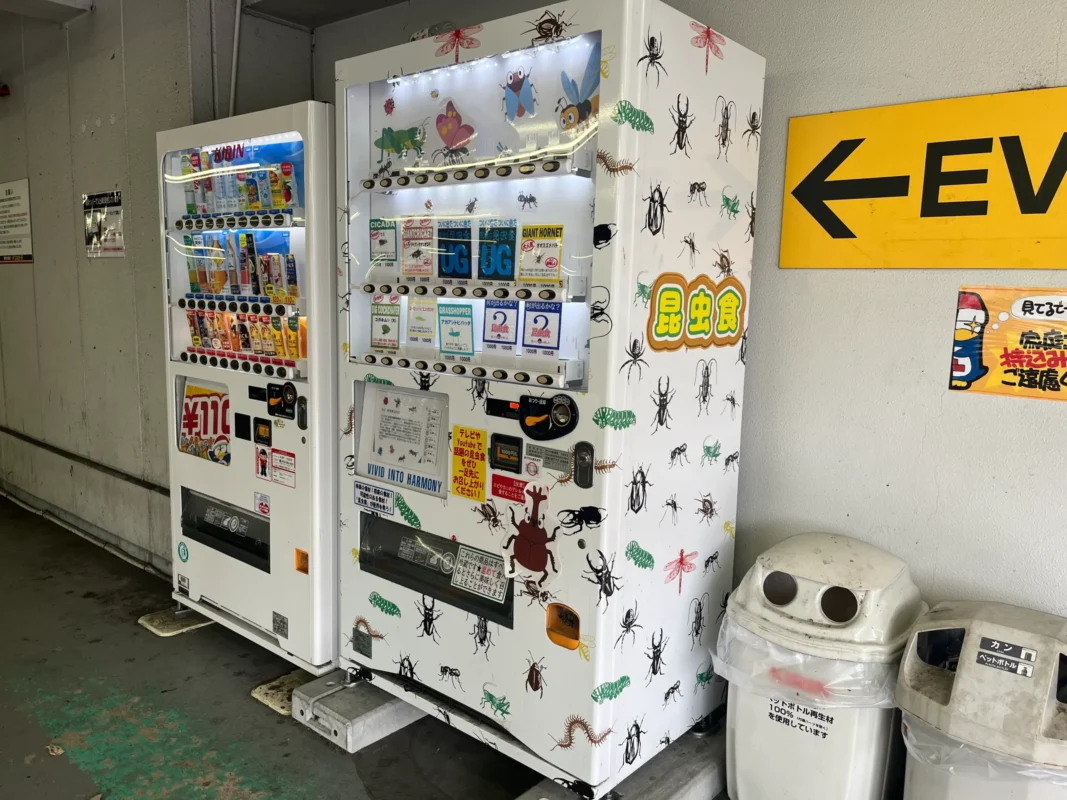 茨木で昆虫食の自動販売機を発見！セミやスズメバチを食べられる？！