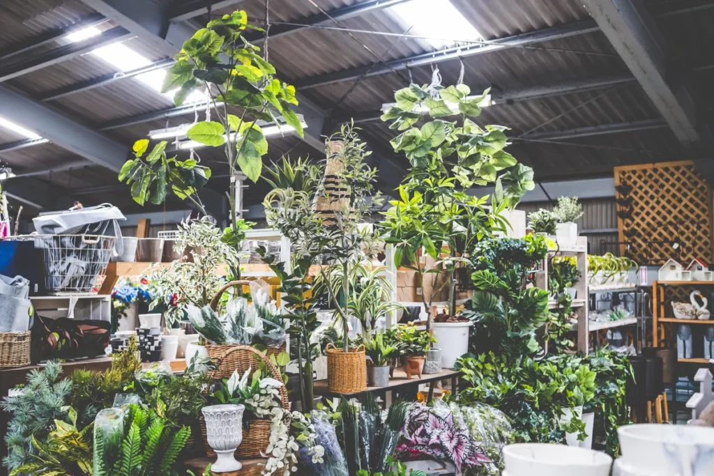 ノア　フェイクグリーン