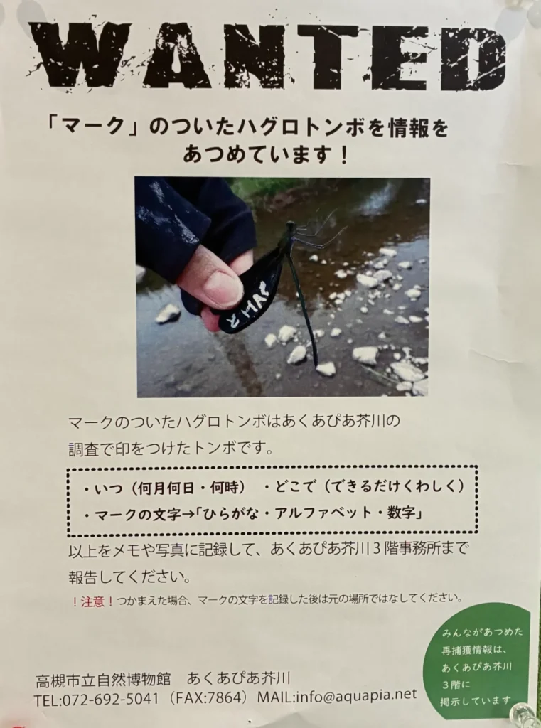 アクアピア芥川、マークのついたハグロトンボ情報をあつめています、ポスター