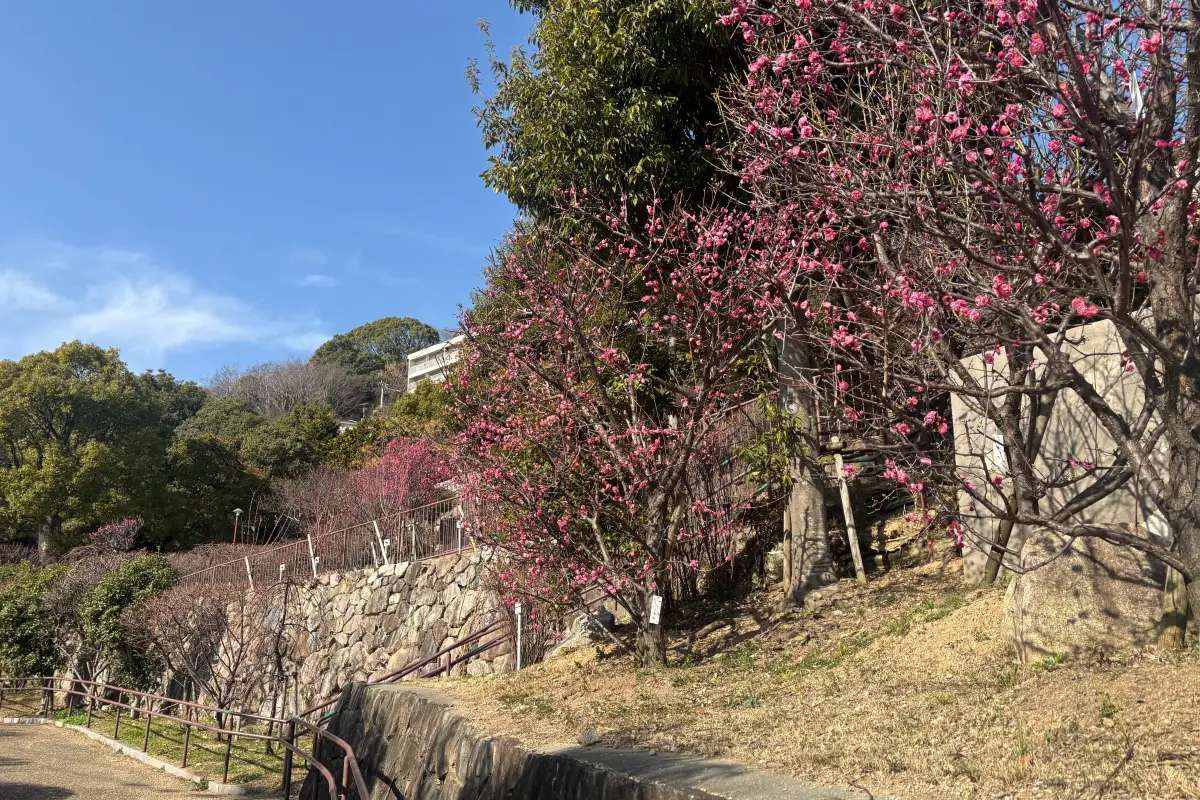 岡本・御影TOKK検定にチャレンジしよう！ あなたは何問正解できるかな？ 【第4回】