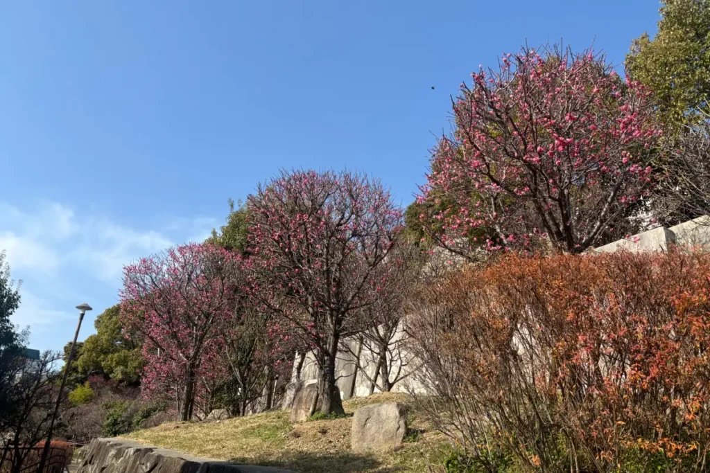 「岡本（梅林）公園」園内