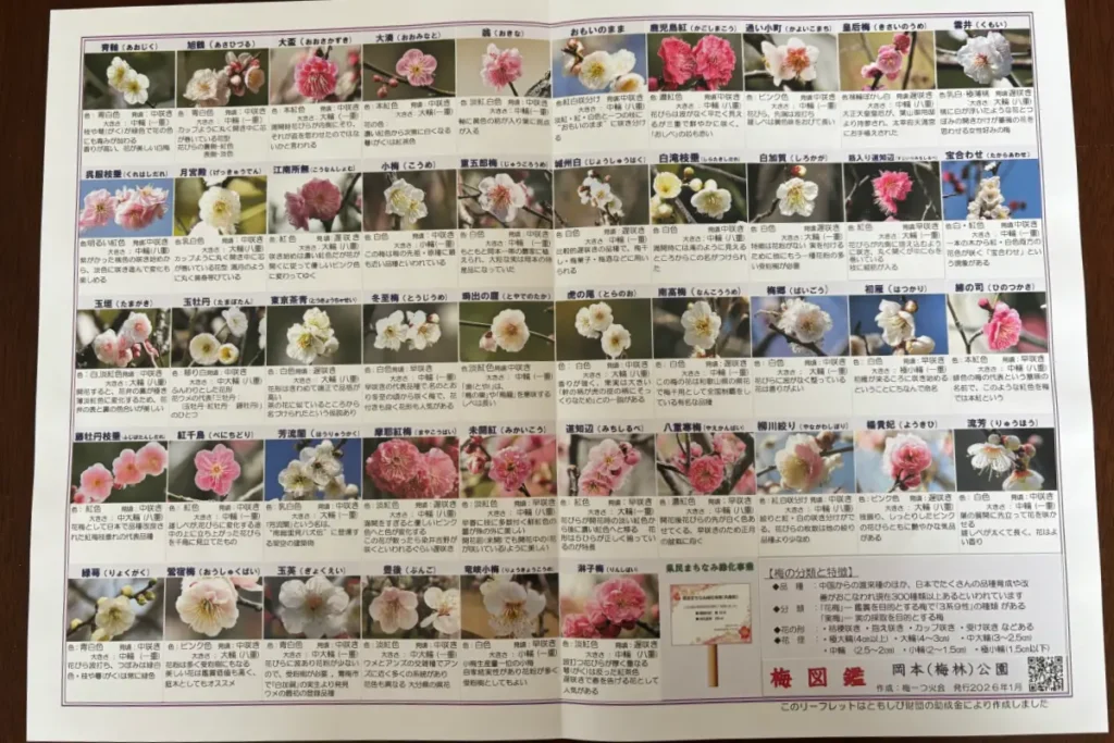 「梅まっぷ」