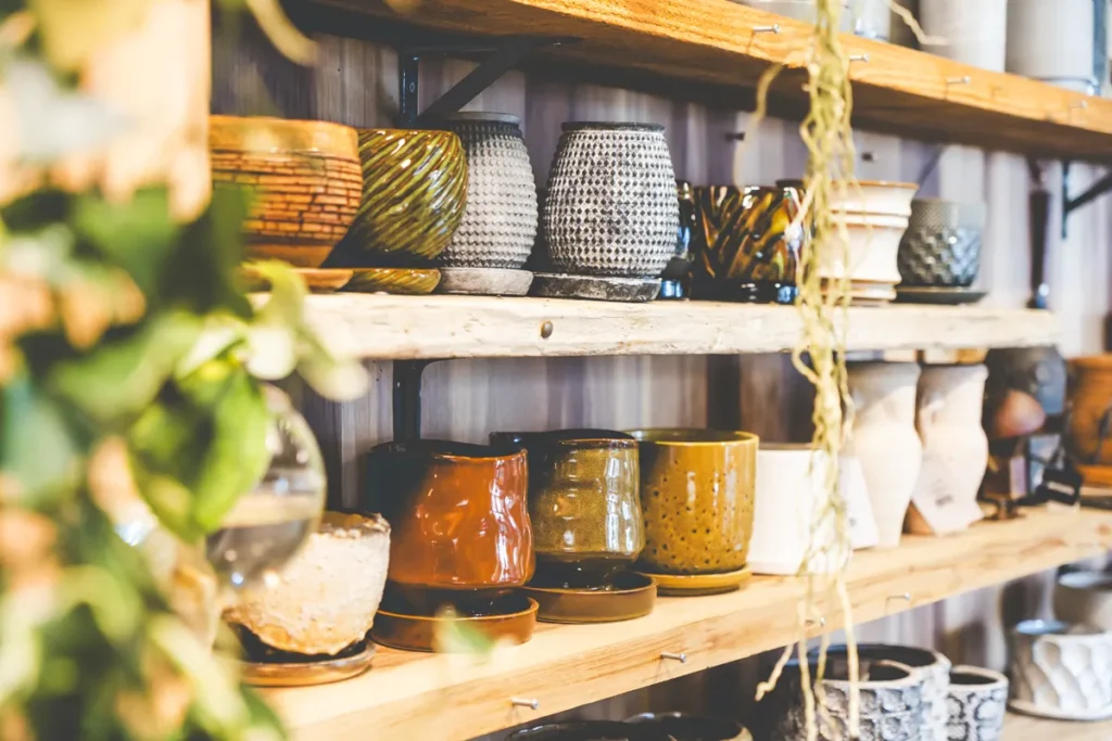 base plants 植木鉢