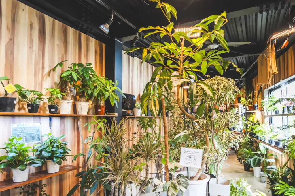 base plants 2階全体