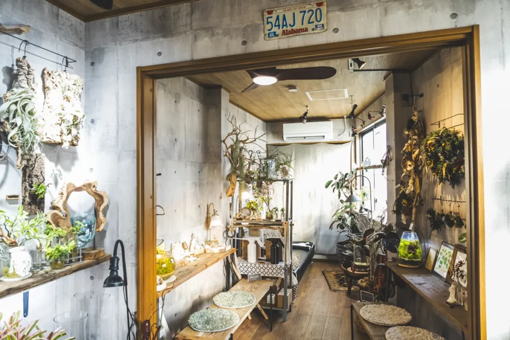 base plants 3階ソファー