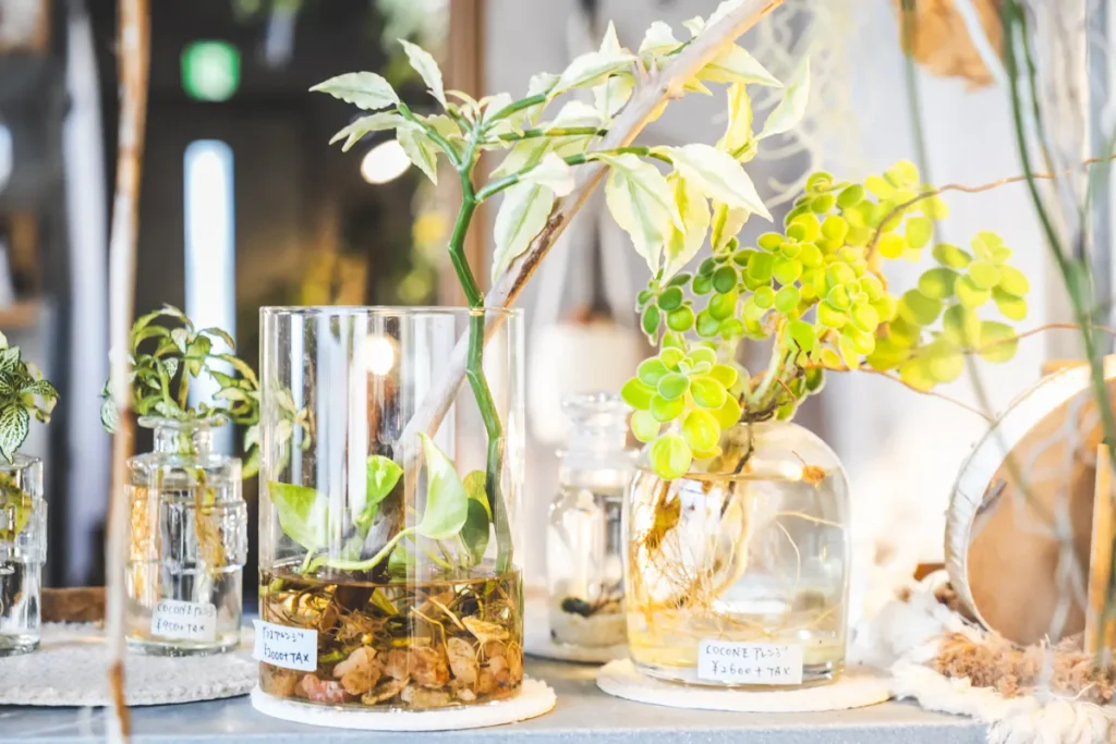 base plants 3階植物