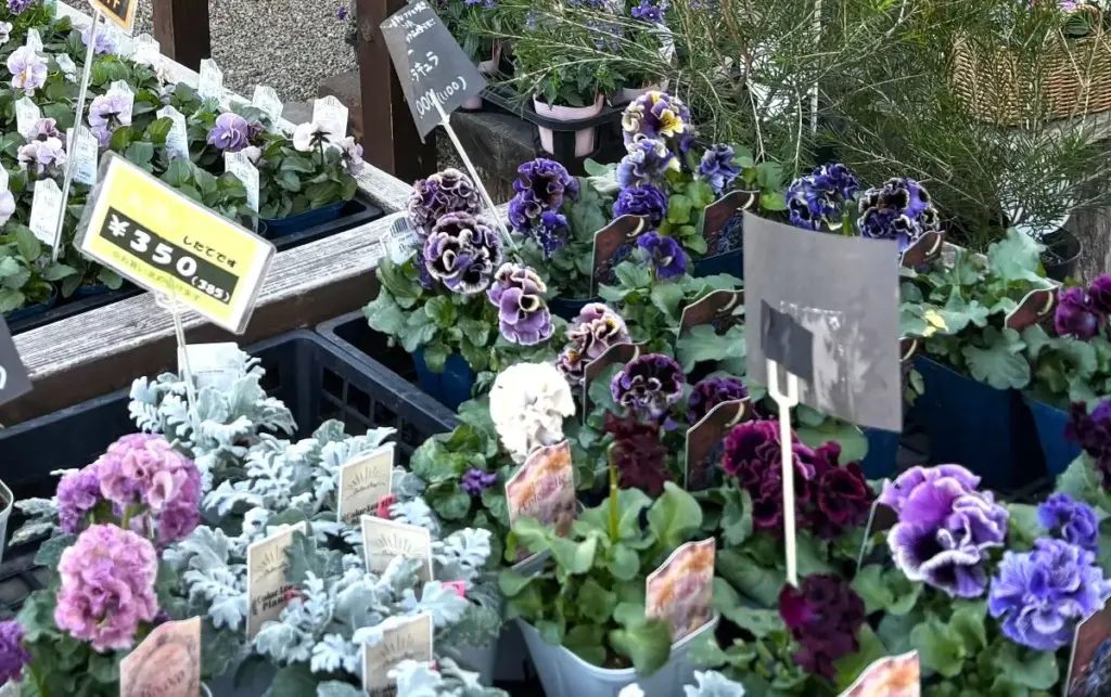 箕面グリーンノート3