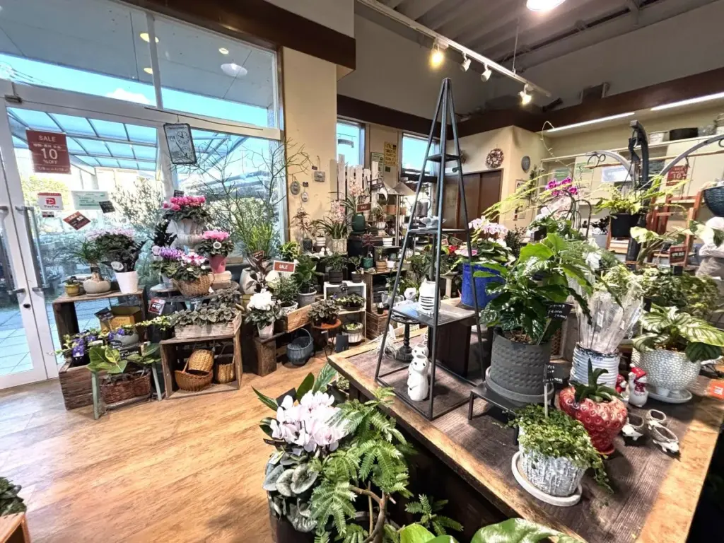 箕面グリーンノート4