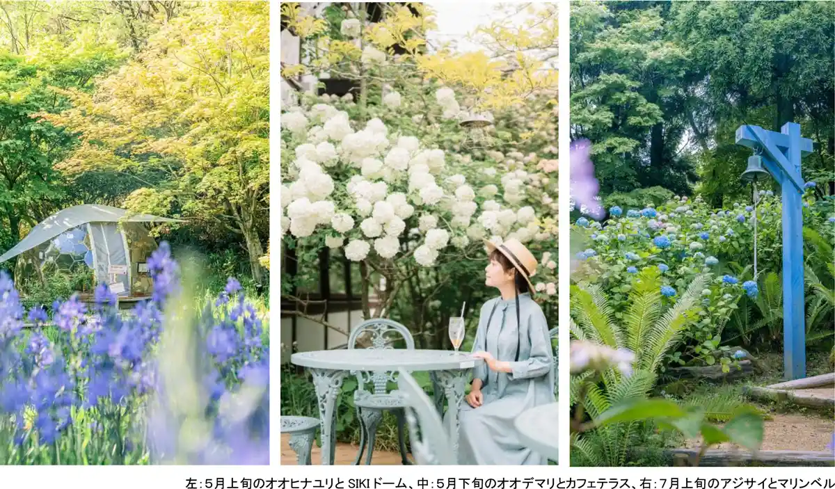 六甲山のフラワーシーズン到来！ROKKO森の音ミュージアムで「ハーモニー・オブ・ガーデン」フェア開催