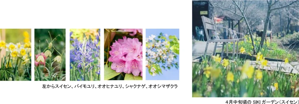 ROKKO森の音ミュージアム