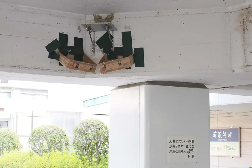 関西のいま、むかし 第3回 ツバメ専用設備