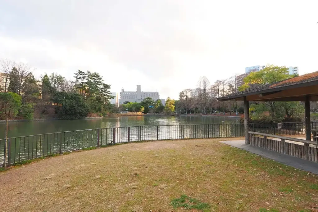 千里南公園の遊歩道